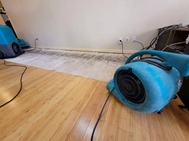 Professional Water Damage Repair technician working in Weston, CT
